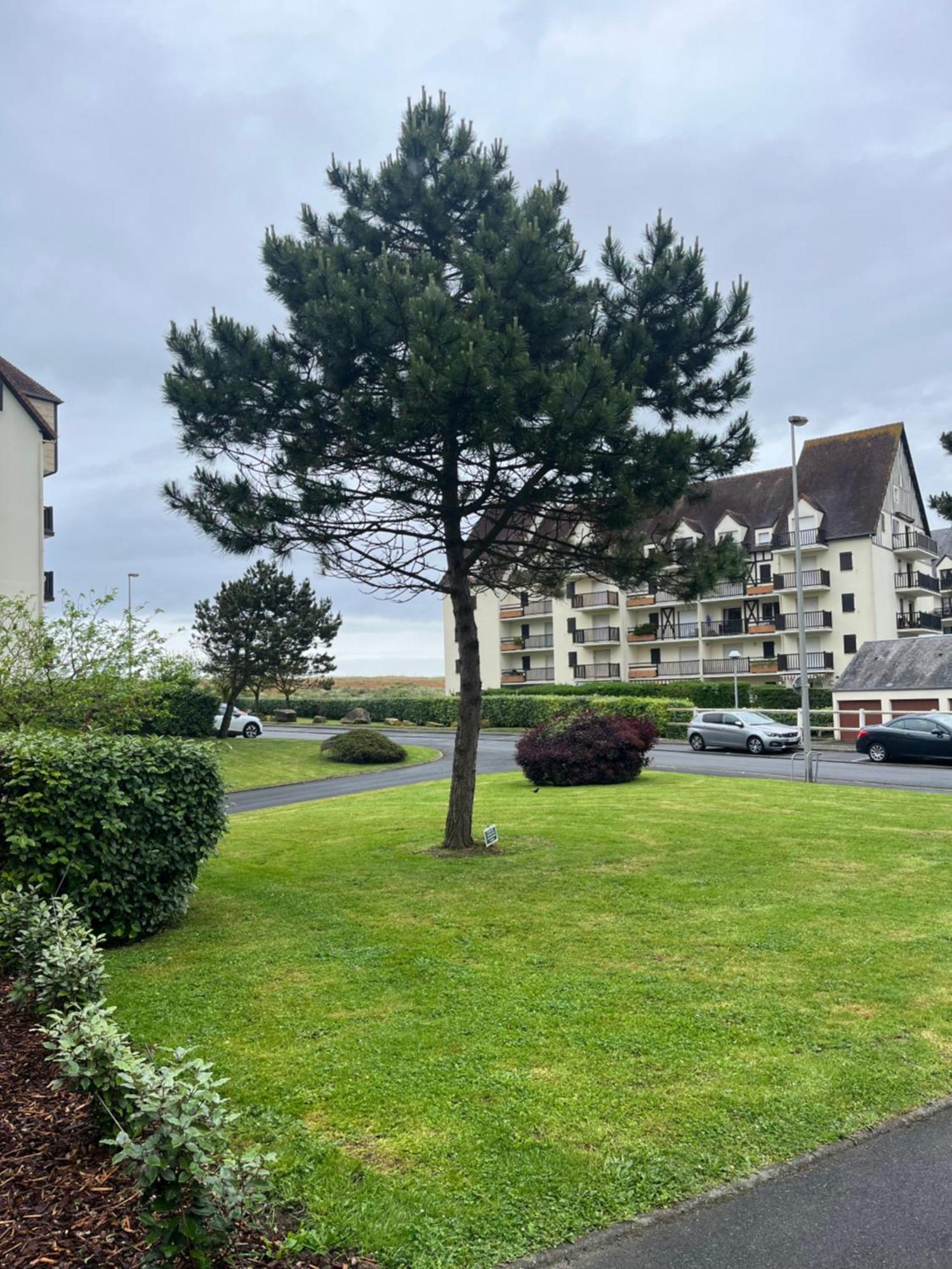 La Parenthese Cabourgeaise Apartment Exterior foto